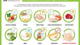 Через что можно отправить продукты в Терволина