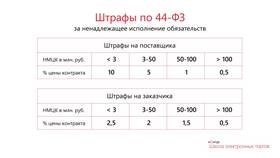 Что входит в сумму штрафа в Терволина
