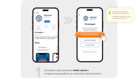 Что входит в услуги самозанятого в Терволина