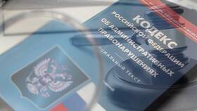 Дисквалификация как вид административного взыскания в Терволина