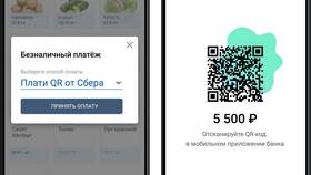Как оплатить с телефона по QR-коду: пошаговая инструкция в Терволина
