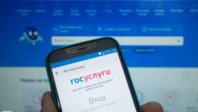 Как подать заявление в лагерь через Госуслуги в Терволина