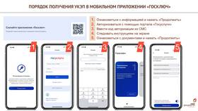 Как получить ГосКлюч для Госуслуг через МФЦ в Терволина