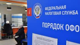 Как получить НДФЛ для ИП в Терволина