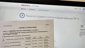 Как получить справку о малоимущности через Госуслуги в Терволина