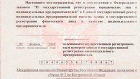 Как правильно указывать реквизиты ИП в договоре в Терволина