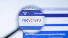 Как проверить статус самозанятости через портал Госуслуги в Терволина