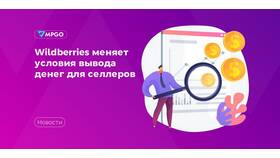 Как выводить деньги с Wildberries в Терволина