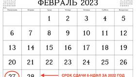 Код 2720 в 2-НДФЛ: что означает в Терволина