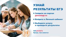 Почему не приходят результаты ЕГЭ на Госуслуги? в Терволина