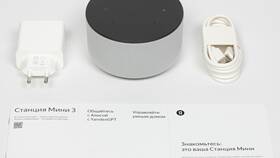 Пошаговая инструкция по настройке Алисы от Яндекс в Терволина