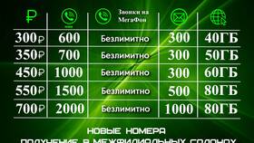 Сколько стоит интернет Мегафон на телефон в Терволина