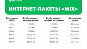 Стоимость мегабайта интернета в МегаФоне в Терволина