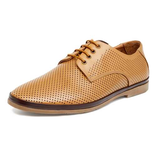 Туфли мужские Pierre Cardin 710017657 коричневые 42 RU в Терволина