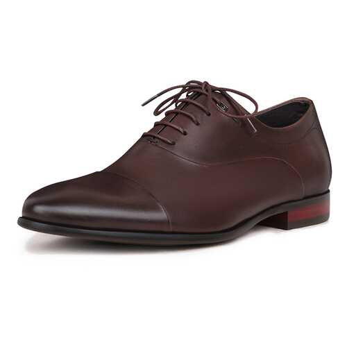 Туфли мужские Pierre Cardin DC20S-1 коричневые 43 RU в Терволина