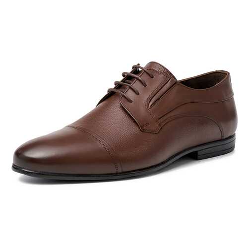 Туфли мужские Pierre Cardin TR-RA-K22 коричневые 45 RU в Терволина