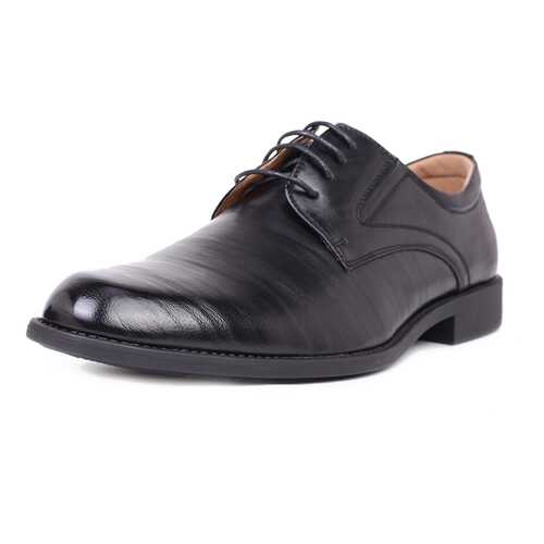 Туфли мужские T.Taccardi 03406520 черные 42 RU в Терволина